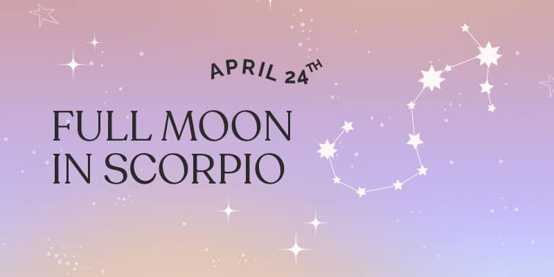 Through the Shadows: Embracing the Intensity of the Full Pink Moon in Scorpio